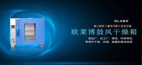 榧撻ⅷ骞茬嚗绠�